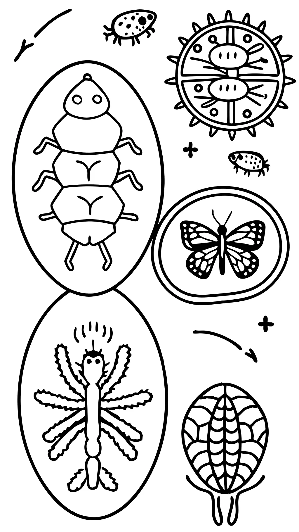 coloring pages biology